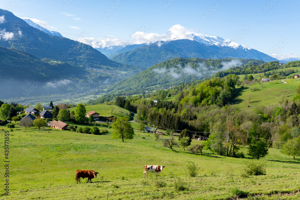 Paysage de montagne dans le parc Naturel Régional des Bauges en Savoie dans les Alpes françaises au 