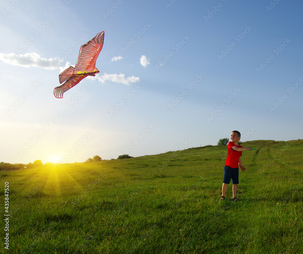  Little boy playing with kite on field