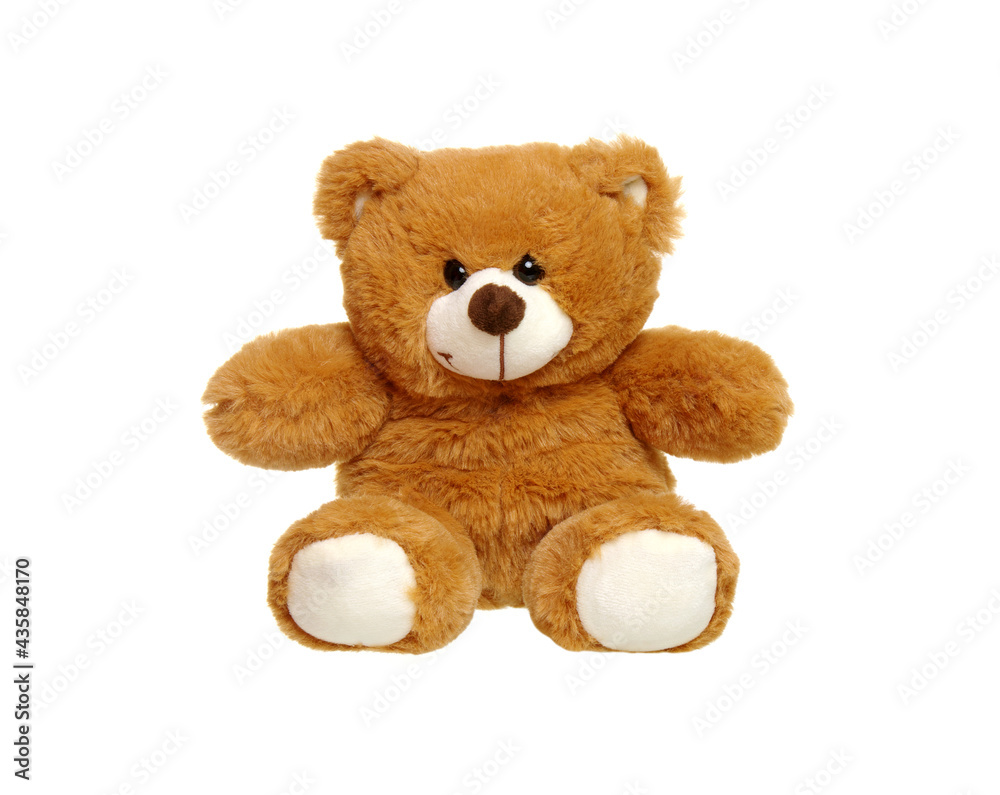 Teddy bear isolated on white