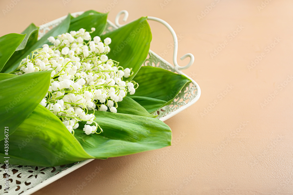 Tray with beautiful lily-of-the-valley flowers on color background