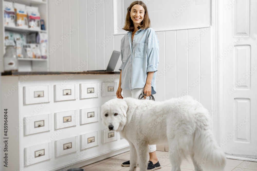 A portrait of happy woman with big white dog waiting for the veterinarian on reception in veterinary