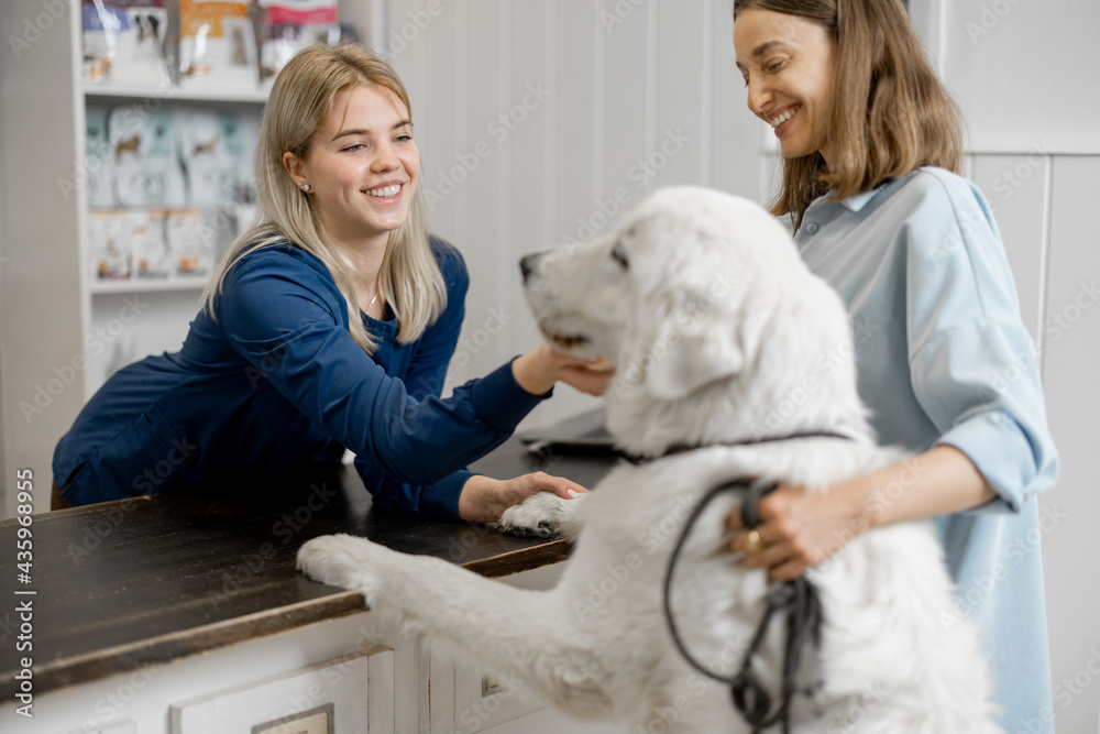 Female owner and veterinarian with big white dog on reception in veterinary clinic. Dog climbed paws