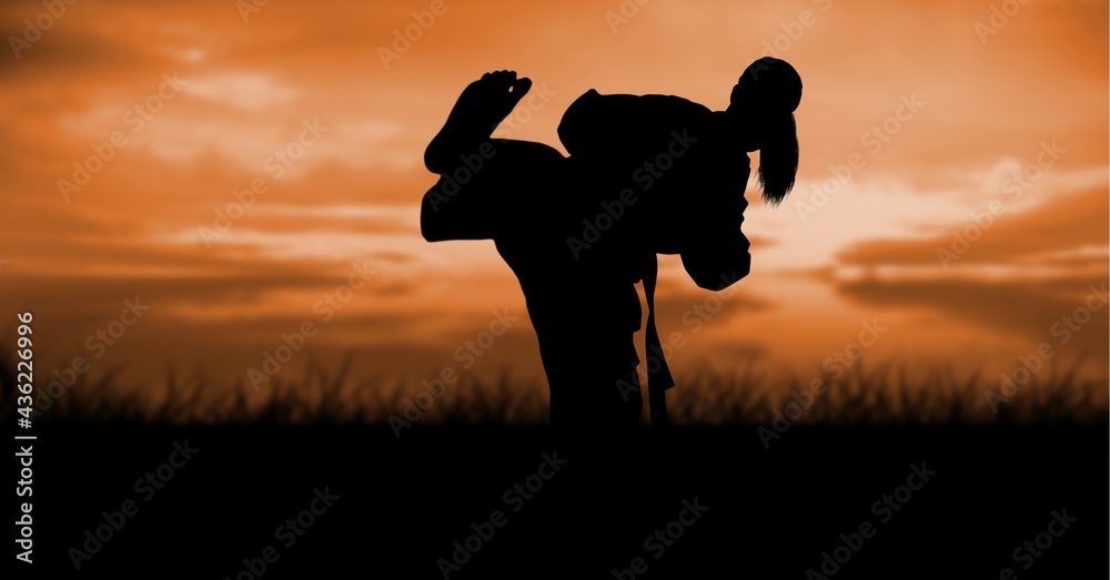 Composition of silhouette of female martial artist against orange sky with sun setting