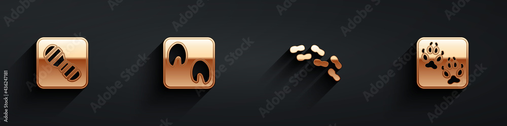 Set Human footprints shoes, Horse paw, and Fox icon with long shadow. Vector