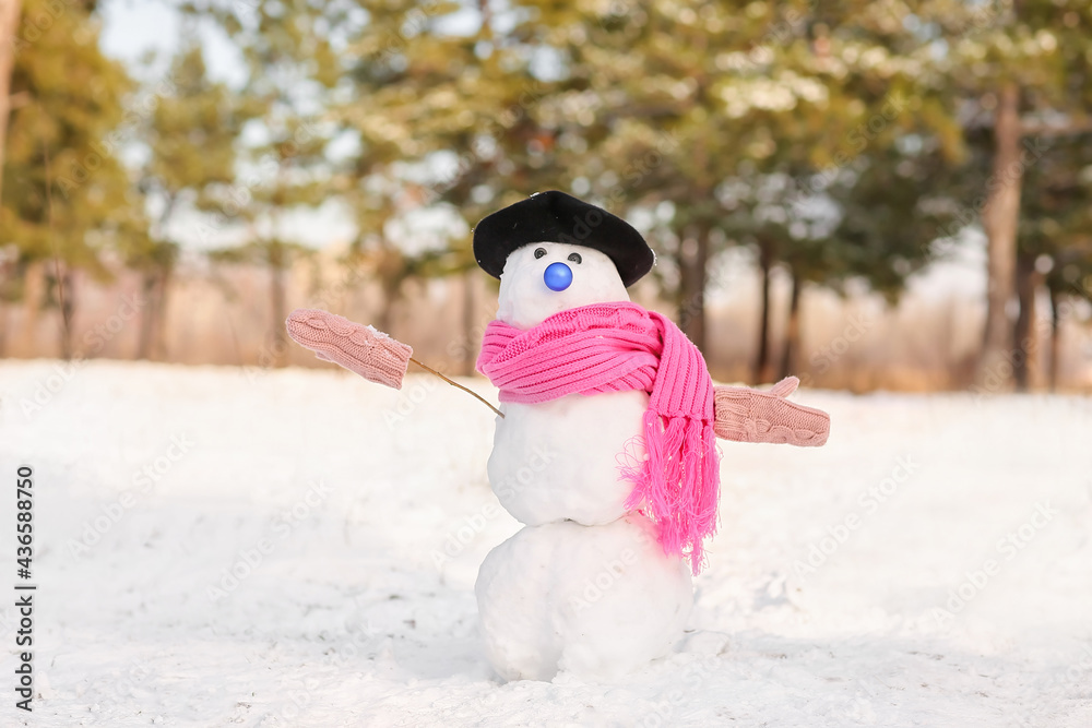 Funny snowman with scarf in park