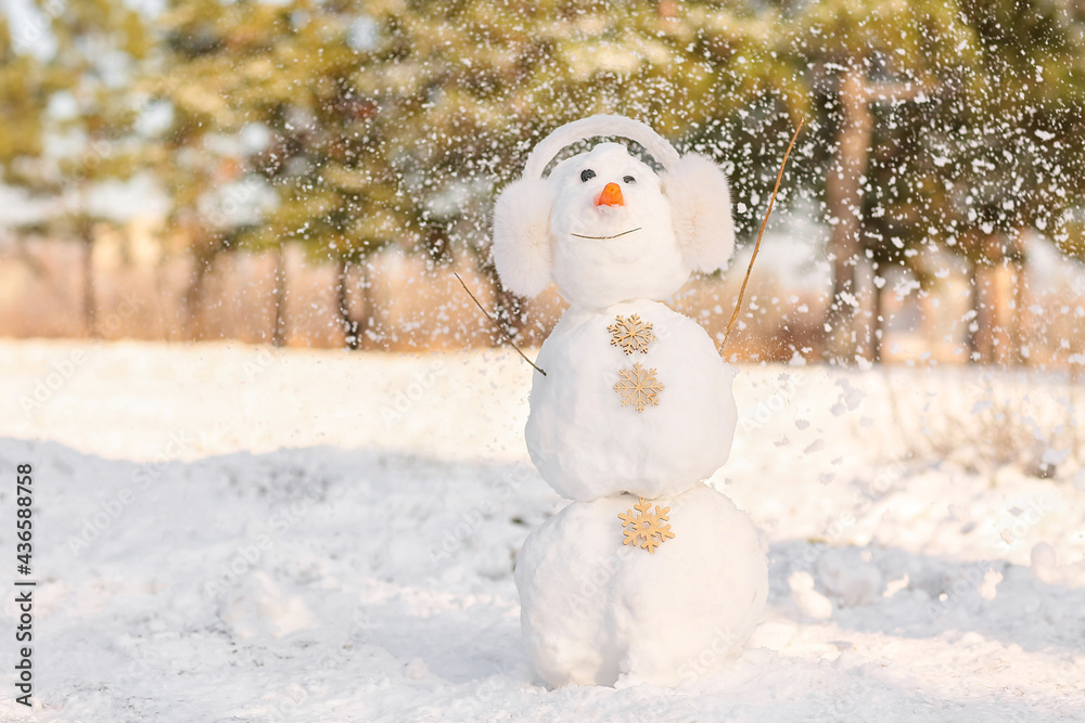 公园里戴着耳罩的有趣雪人