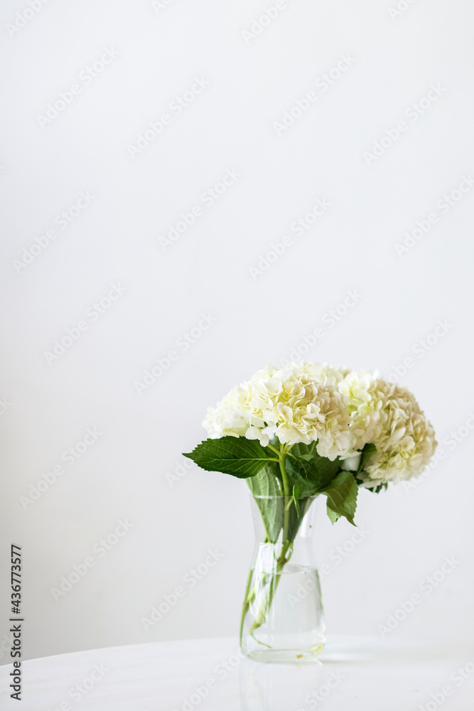 Closeup of white hydrangeas social template