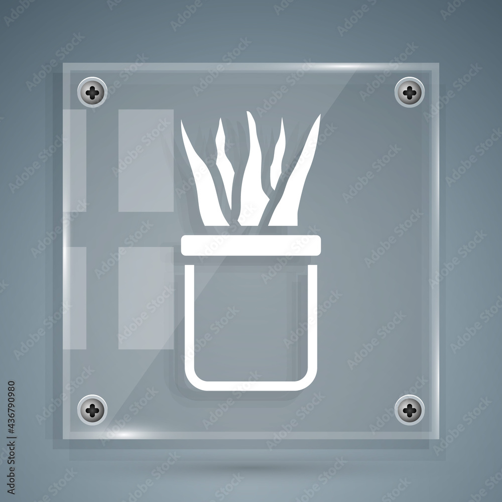 White Plant in pot icon isolated on grey background. Plant growing in a pot. Potted plant sign. Squa