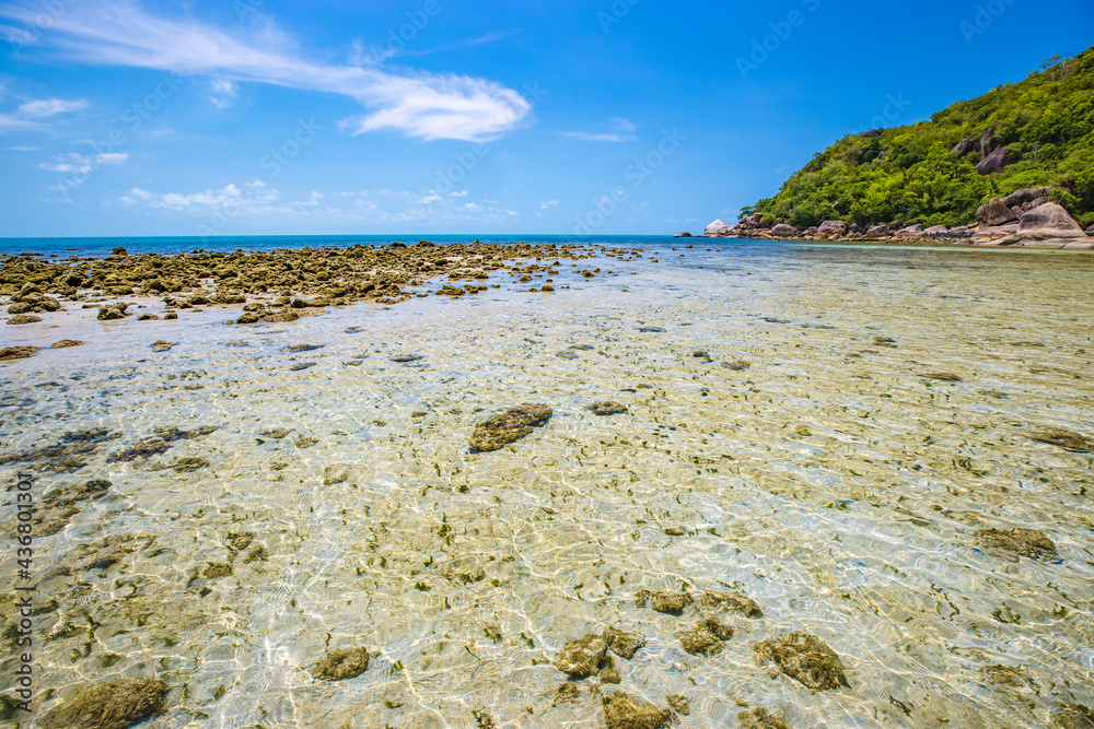 夏日海滩