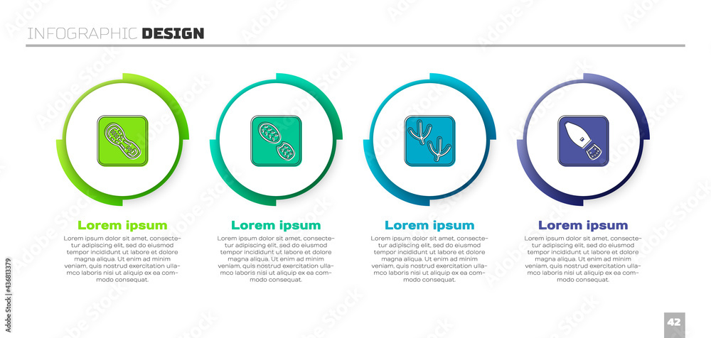 设置人类足迹鞋、鸽子爪和。商业信息图模板。矢量