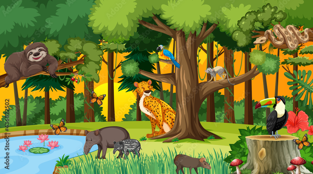 Forest at sunset time scene with different wild animals