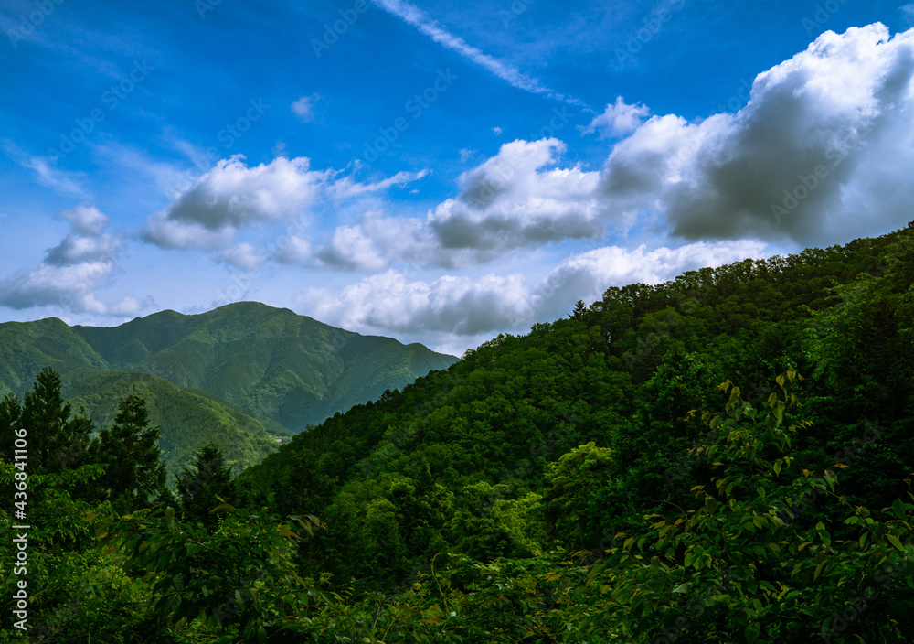 初夏の山　青空　風景