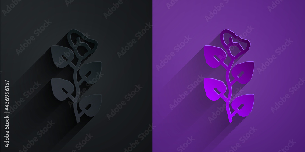 Paper cut Ivy branch icon isolated on black on purple background. Branch with leaves. Paper art styl