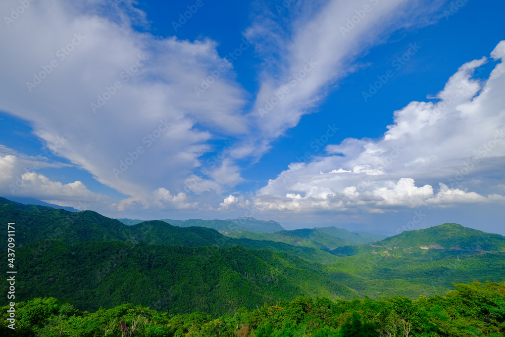 美丽的风景自然的雨林和山脉背景。泰国的热带森林。