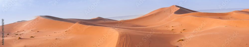 Sand Dune in the Sahara / In the Sahara Desert, sand dunes to the horizon, Morocco, Africa.