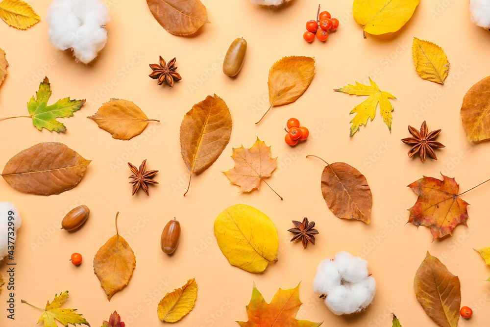 Beautiful autumn composition on color background