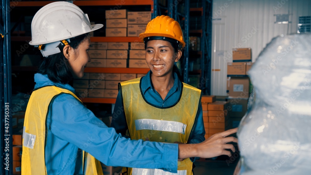 Female warehouse worker working at the storehouse . Logistics , supply chain and warehouse business 