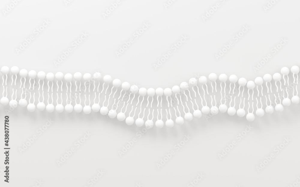 Cell membrane with white background, 3d rendering.