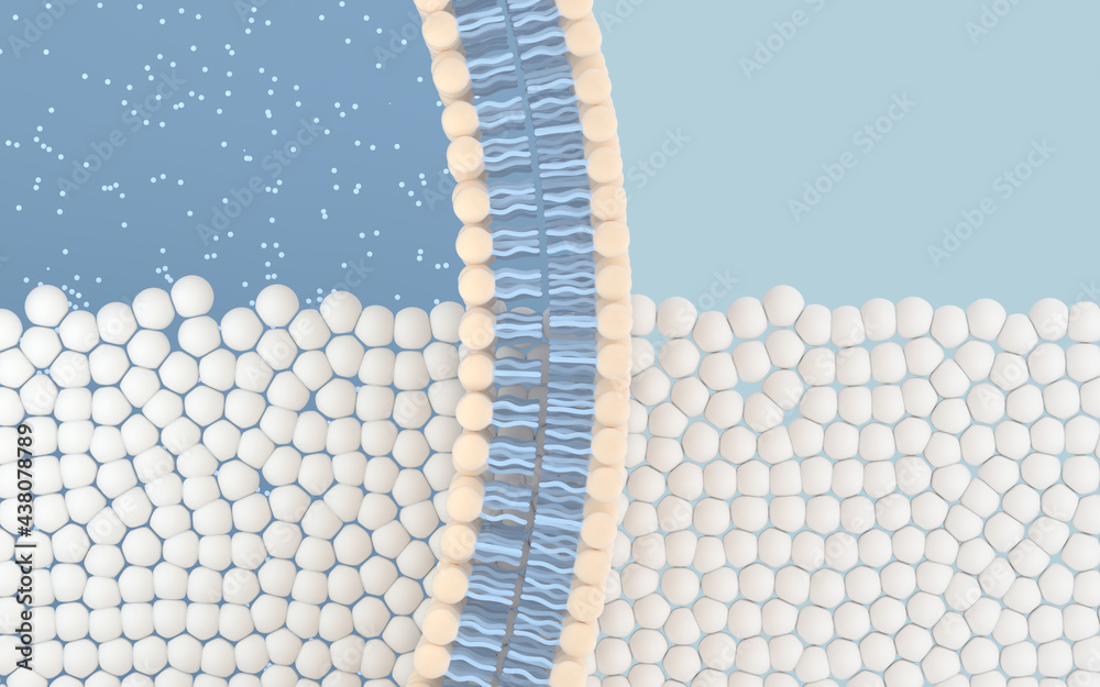 蓝色背景的细胞膜，三维渲染。