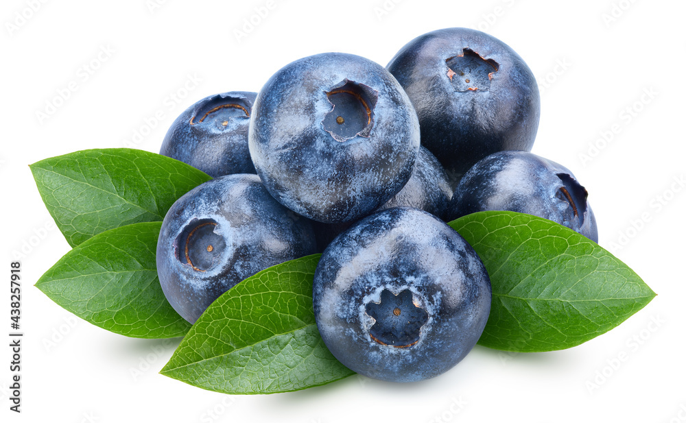 Blueberry with leaves isolated on white background. Blueberry with clipping path. Blueberry on white