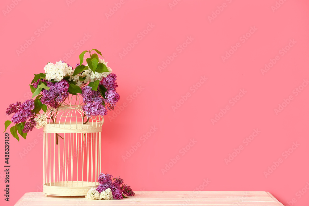 Cage with lilac flowers on shelf near color wall