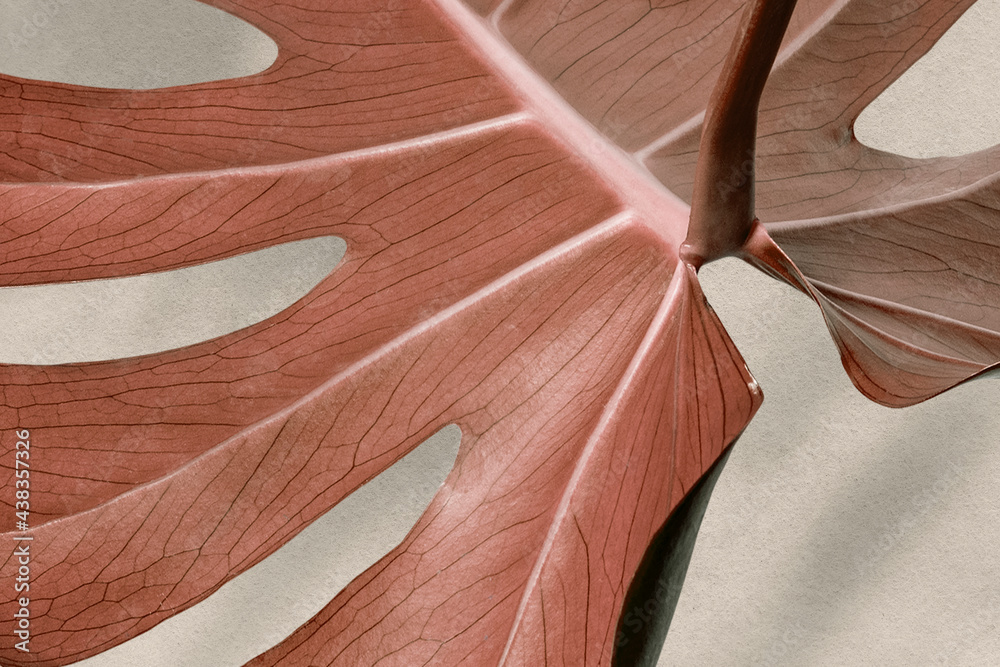 Copper monstera leaf design resource