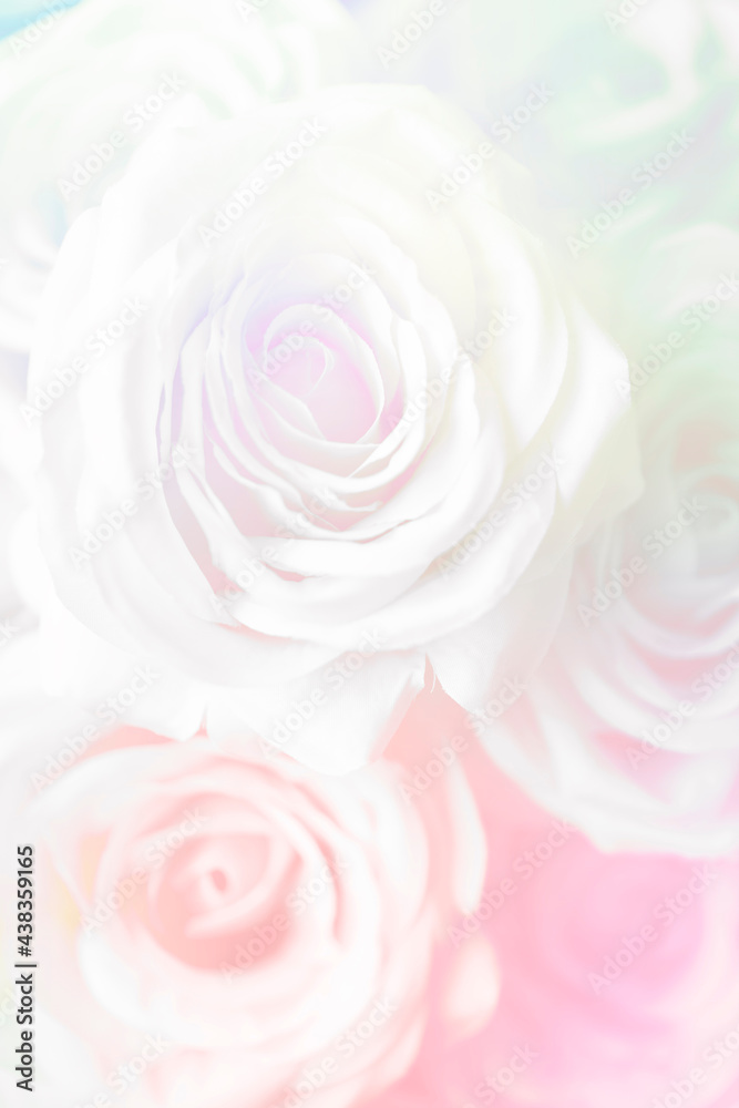 Pink rose patterned background