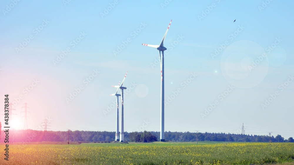 Wind mills during bright summer day