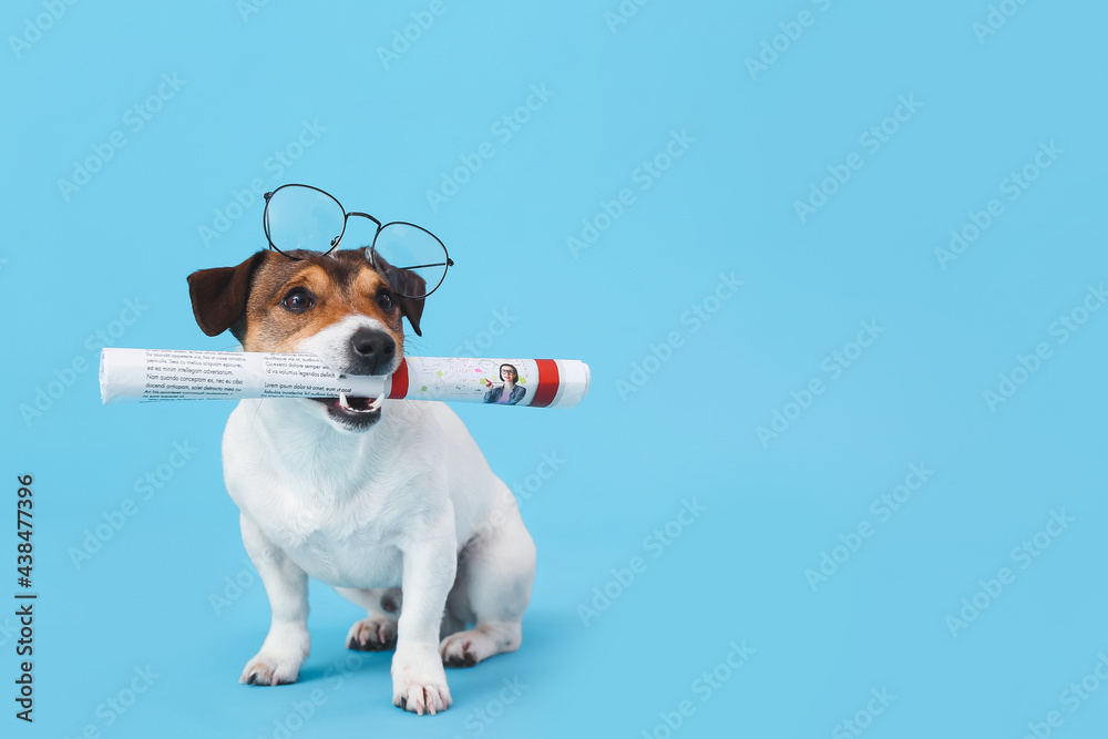 Cute dog with newspaper and glasses on color background