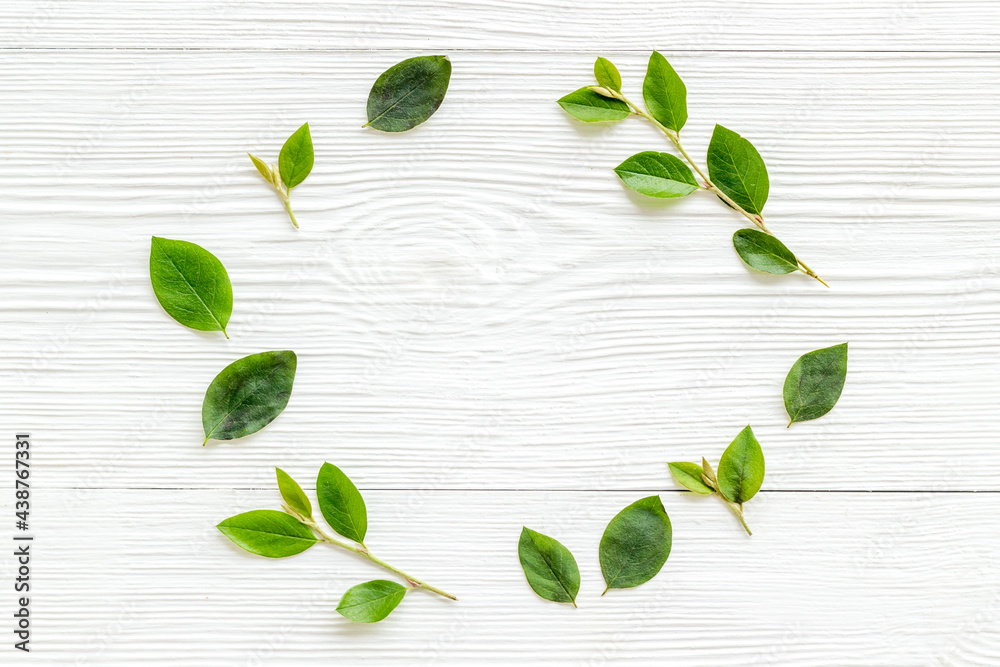 Green leaf pattern frame. Leaves branches top view