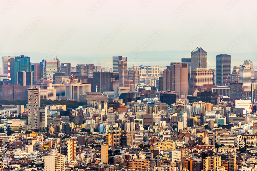 晴れた日の夕暮れの東京の街並み