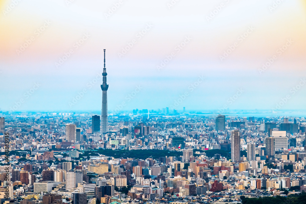 晴れた日の夕暮れの東京の街並み