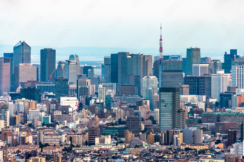 晴れた日の夕暮れの東京の街並み