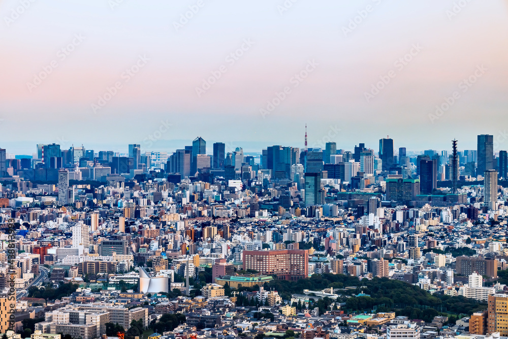 晴れた日の夕暮れの東京の街並み