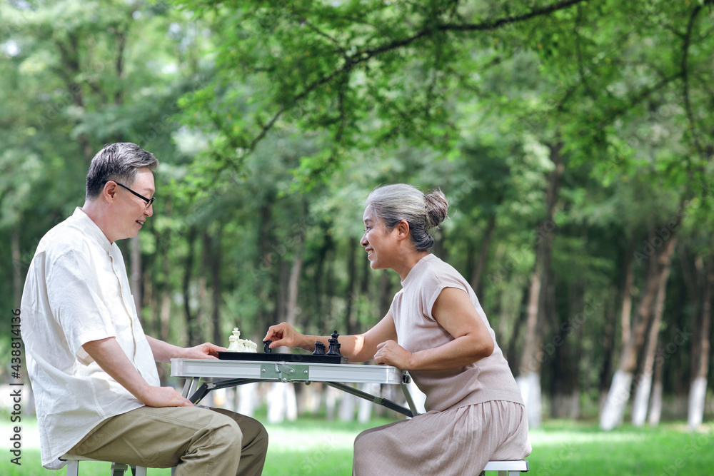 幸福的老夫妇在公园下棋