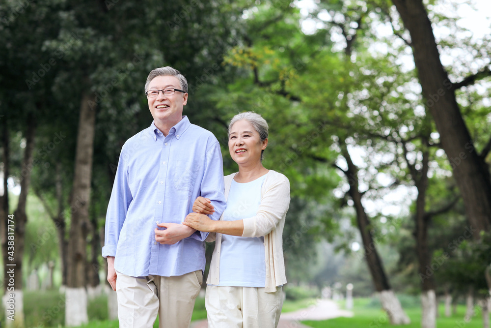 Happy old couple walking in the park