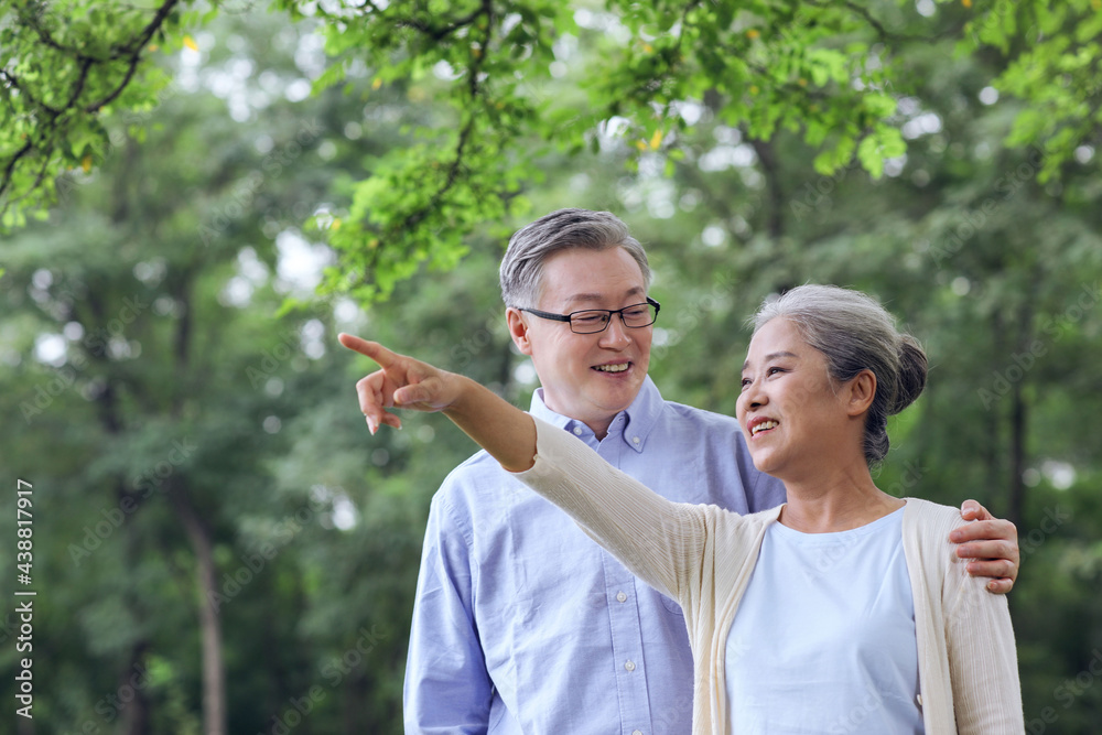 幸福的老夫妇在公园里看风景