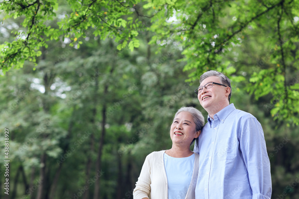 Happy old couple looking at the scenery in the park