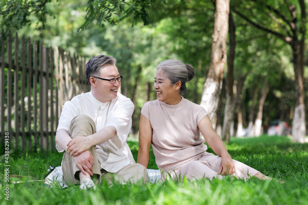 Happy old couple sitting on the park grass watching the scenery