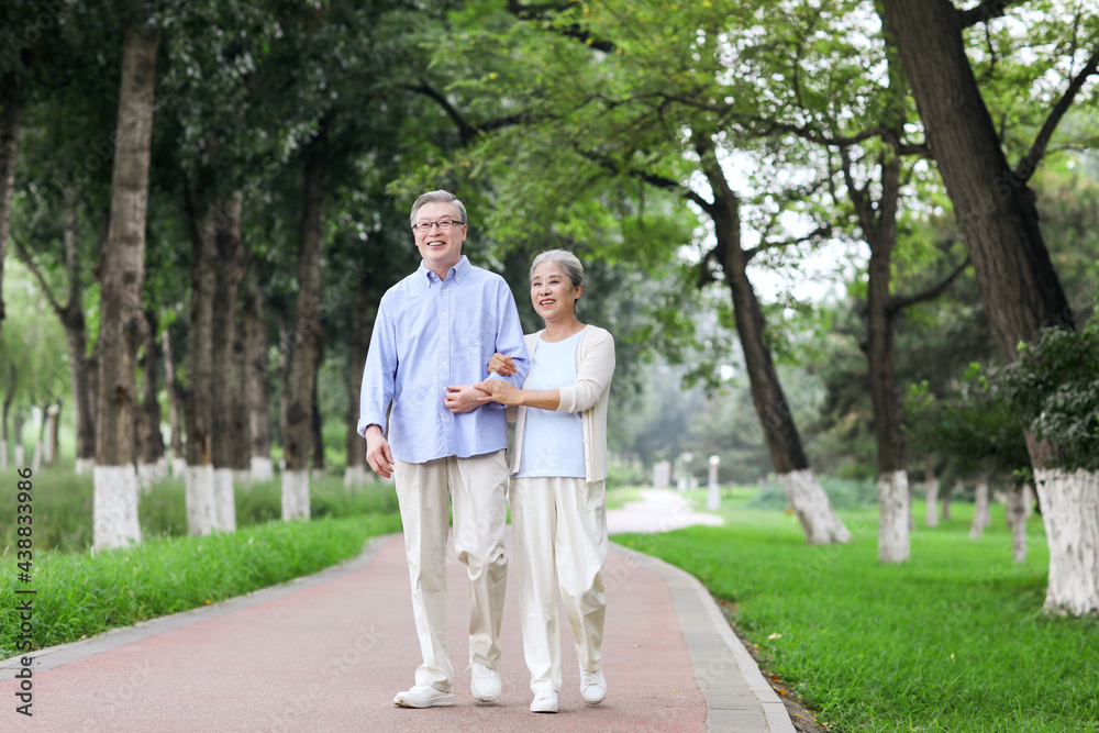 Happy old couple walking in the park