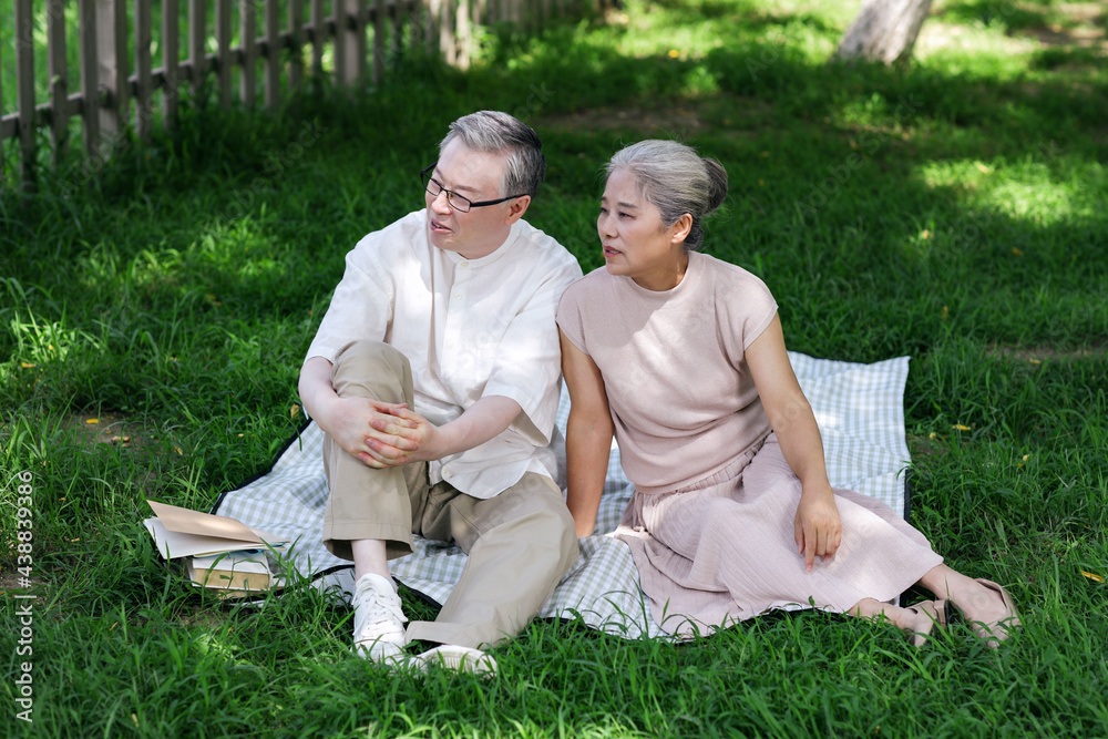 Happy old couple sitting on the park grass watching the scenery