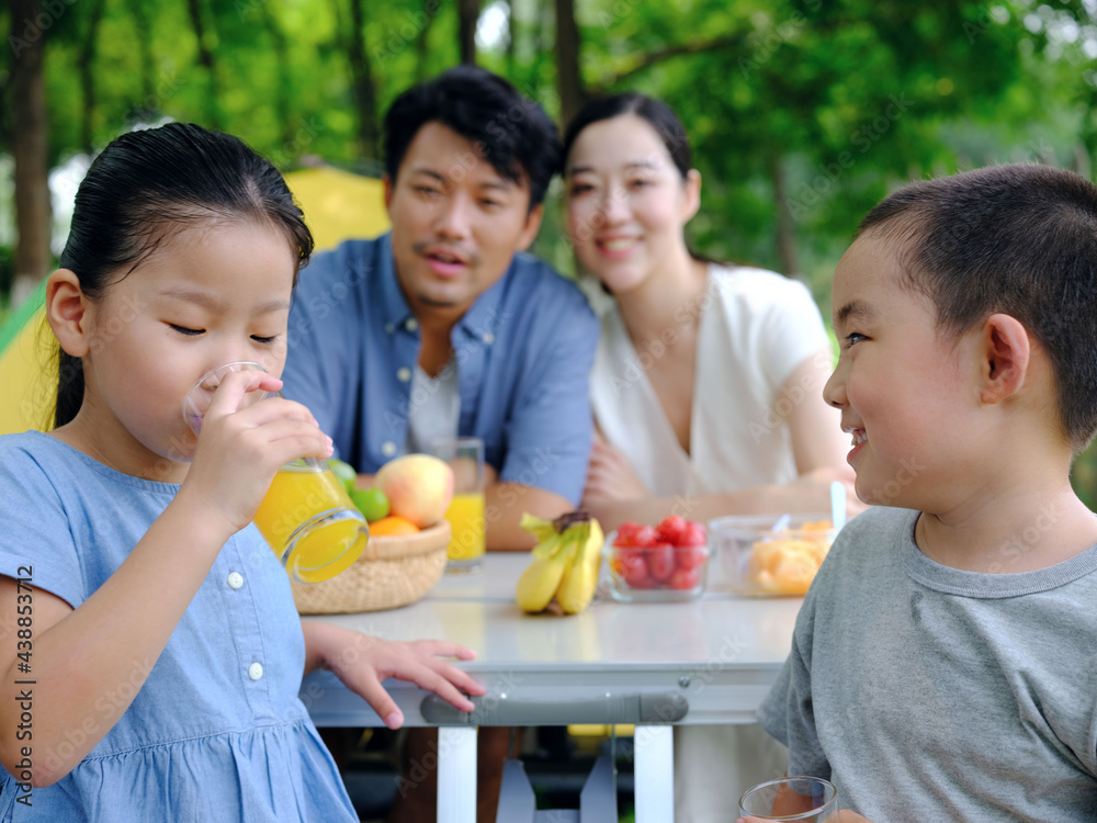 A Happy family of four outdoor outing