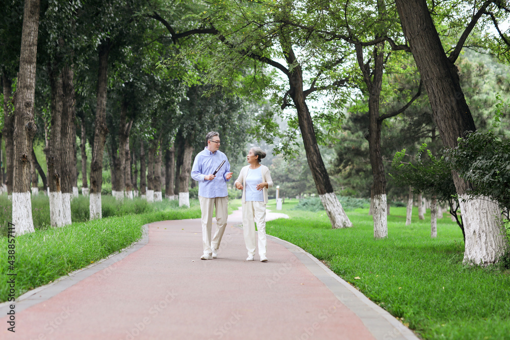 Happy old couple walking in the park