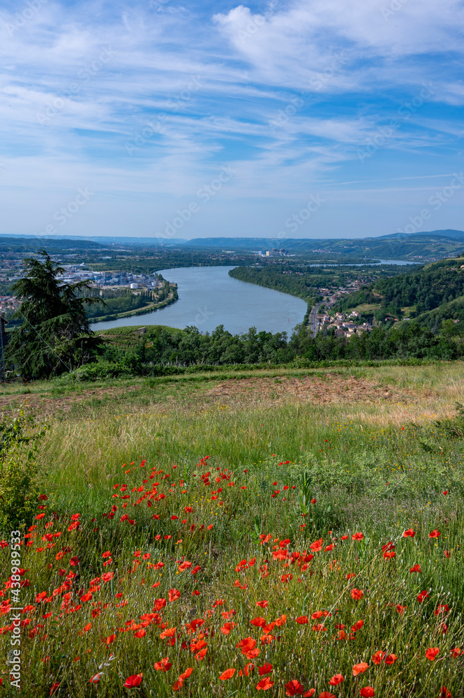 Panorama de la vallée du Rhône près de Condrieu dans le département du Rhône