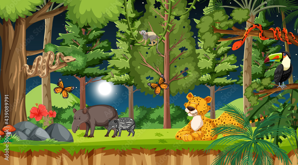 Forest at night scene with different wild animals