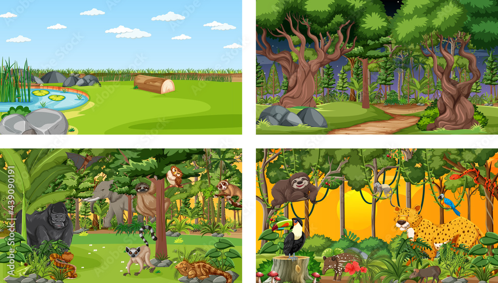 Different nature scenes of forest and rainforest with wild animals