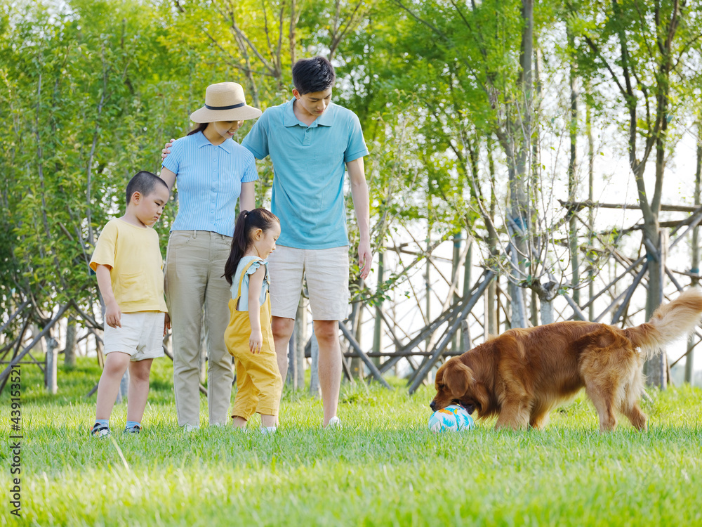 Happy family of four and pet dog playing in the park