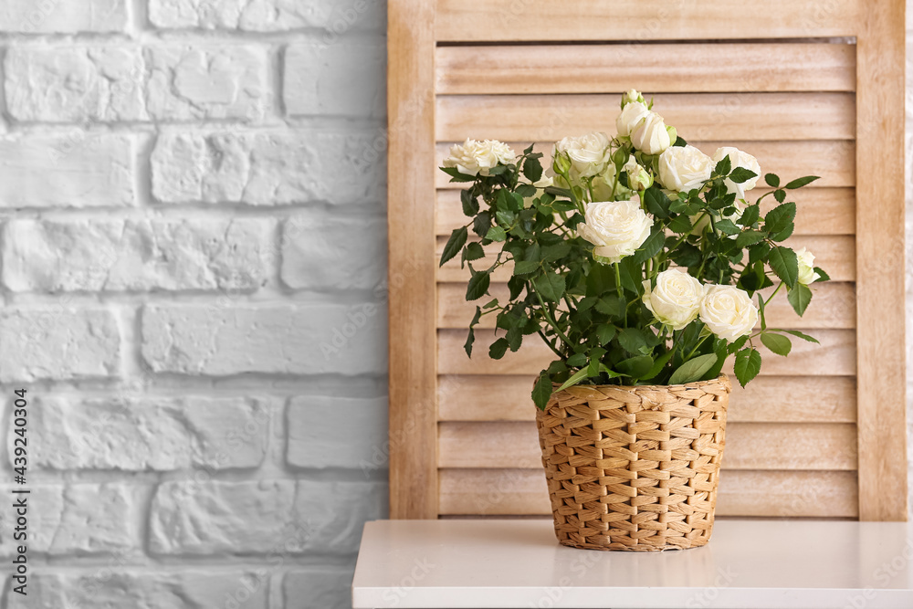 Beautiful white roses in pot on table near brick wall