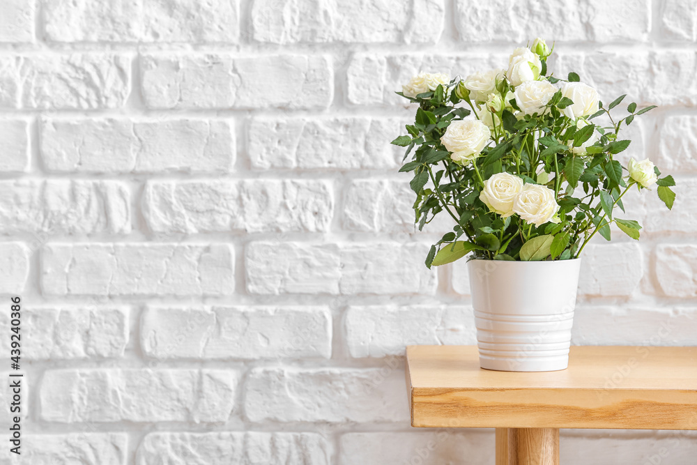 Beautiful white roses in pot on shelf near brick wall