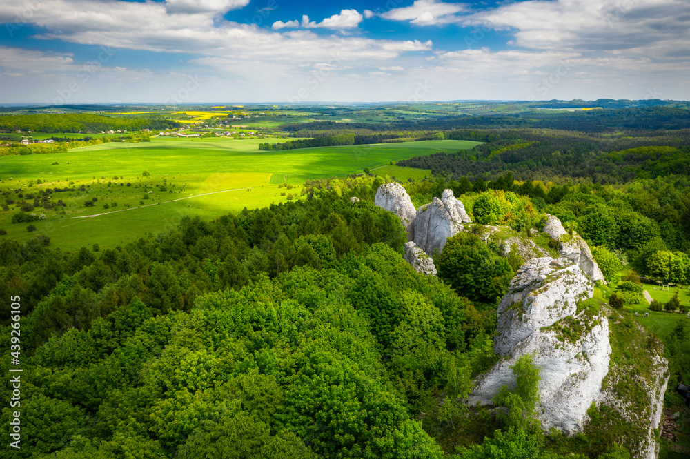 Beautiful landscape of the Polish Jurassic Highland at summer, Poland